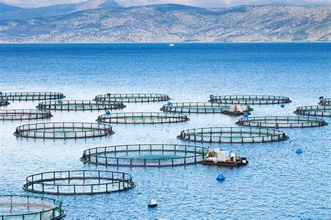 Certificate in Aquaculture